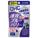 DHC 速攻ブルーベリー 20日分(40粒)