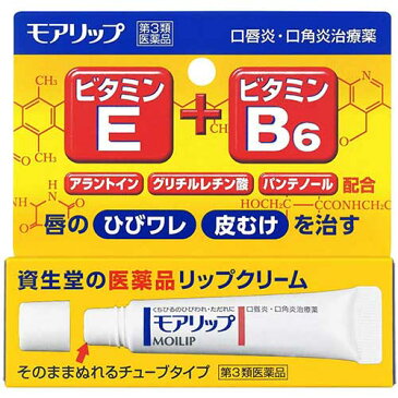 【第3類医薬品】【メール便発送!送料無料!】モアリップN 8g【資生堂薬品】【4987415688503】