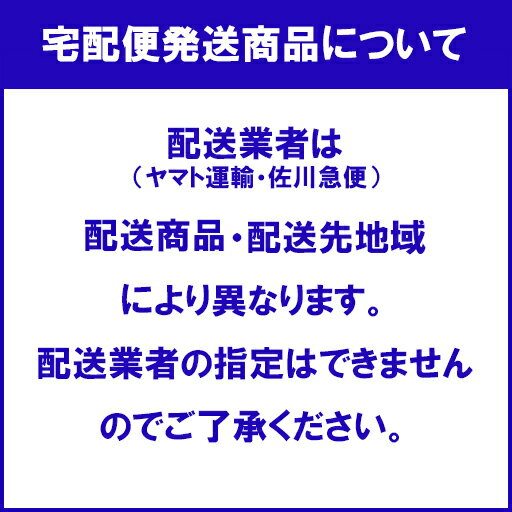 ポイントブラシ ふつう【エビス】【納期:1週間...の紹介画像3