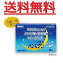 【第2類医薬品】 パンセダン 24錠 佐藤製薬 メール便対応商品 送料無料