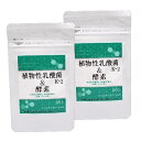 植物性乳酸菌 K-2＆酵素 60粒 芳香園製薬 メール便対応 送料無料