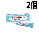 【第(2)類医薬品】【2個セット】フルコートf 軟膏 10g 田辺三菱製薬 メール便送料無料