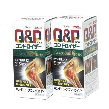 【第2類医薬品】キューピーコーワコンドロイザー250錠 2箱セット およそ42日分 興和