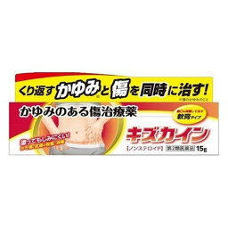 【第2類医薬品】《丹平製薬》 キズカイン 15g (傷治療薬)