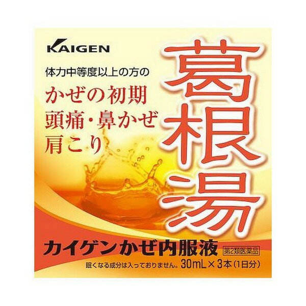 【第2類医薬品】《カイゲン》カイゲン内服液　30ml×3本 感冒薬