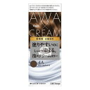 【医薬部外品】《ホーユー》 ビゲン 泡クリームカラー 4A ヴェールアッシュ ★定形外郵便★追跡・保証なし★代引き不可★