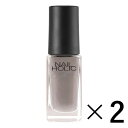 sR[Z[t NAIL HOLIC lCzbN GY007 5ml~2 ilCJ[j