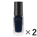 《コーセー》 NAIL HOLIC ネイルホリック BL905 5ml×2 (ネイルカラー)