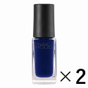 《コーセー》 NAIL HOLIC ネイルホリック BL906 5ml×2 (ネイルカラー)