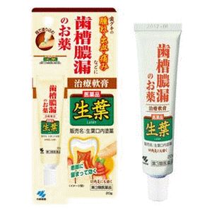 【第3類医薬品】《小林製薬》 生葉口内塗薬 20g (歯科口腔用薬)