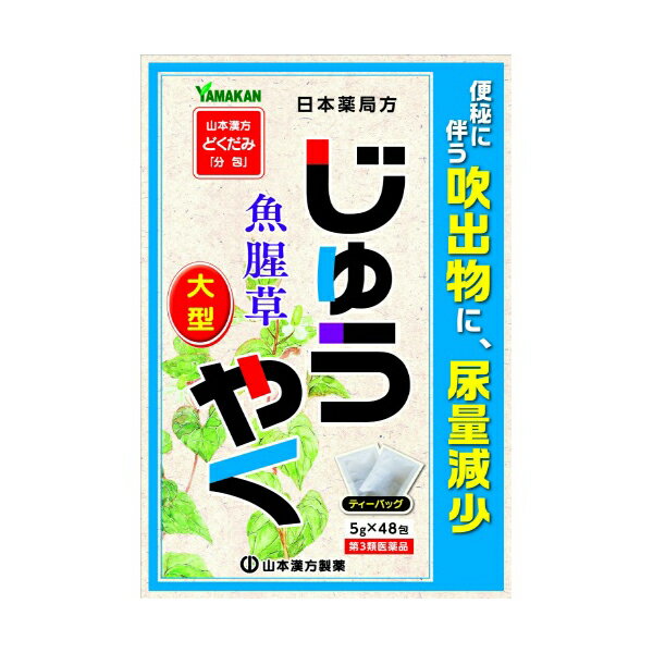 【第3類医薬品】《山本漢方製薬》 日局 ジュウヤク ティーバッグ 5g×48包 (便秘、便秘に伴う吹き出物)出物) ★定形外郵便★追跡・保証なし★代引き不可★