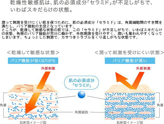 《花王》 Curel (キュレル) 美白化粧水III(リッチ) 140ml 【医薬部外品】 返品キャンセル不可