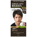 《マンダム》ルシード ワンプッシュケアカラー アッシュブラウン(医薬部外品)