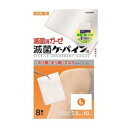 滅菌ケーパインL 8枚(4)