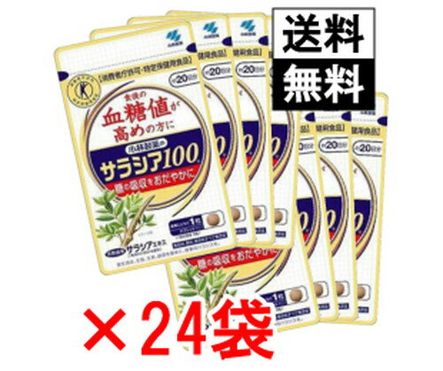 小林製薬 サラシア 100 20日分 60粒×24袋 まとめ買いセット【送料無料】