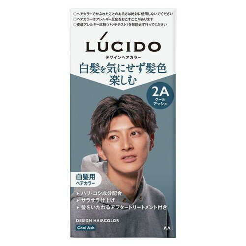 【医薬部外品】ルシード デザインヘアカラー クールアッシュ 2A メンズ用 白髪染め マンダム