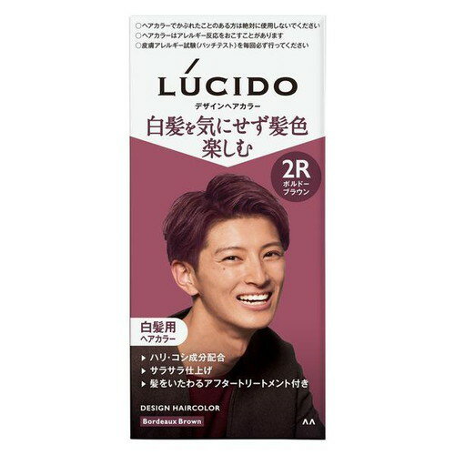 【医薬部外品】ルシード デザインヘアカラー ボルドーブラウン 2R メンズ用 白髪染め マンダム