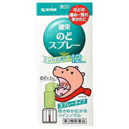 【第3類医薬品】健栄のどスプレー 12mL