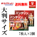 ゆうパケットで送料無料 2個セット【第2類医薬品】コーワ バンテリンコーワ パットEX ホット 大判 7枚入り×2個 温湿布 つらい痛みに 高い密着性 肌に優し...