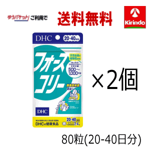 ゆうパケットで送料無料 2個セット DHC フォースコリー 80粒入(20日〜40日分)×2袋 ※軽減税率対象