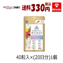 ゆうパケットで送料330円 楽美健快 ファイン めぐりさぷり リポソームビタミンC 40粒(20日分)×1個 軽減税率対象商品 栄養機能食品 めぐりさぷり