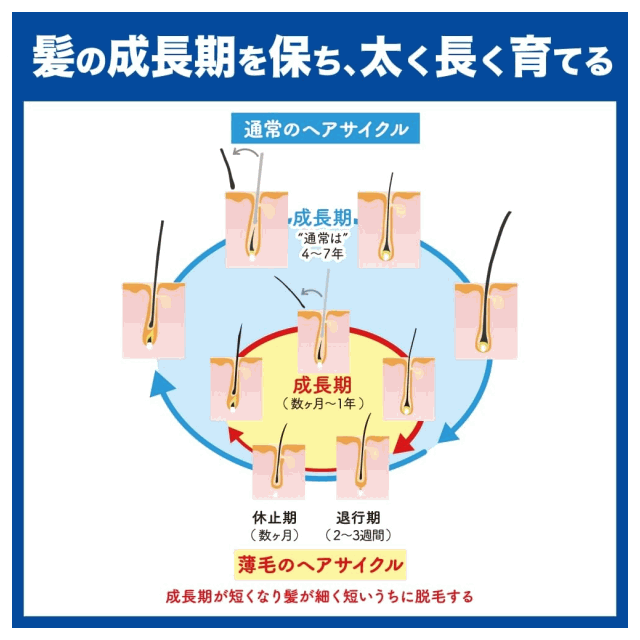 花王 サクセス 薬用 育毛 トニック ボリューム ケア 無香性 180g×1個 【医薬部外品...