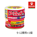 【第2類医薬品】アース製薬 アースレッドW ノンスモーク 9-12畳用(150mL)×1個 ゴキブリ駆除 燻煙 けむり ダニ ノミ