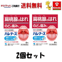 70周年創業祭III ゆうパケットで送料無料 2個セット【第3類医薬品】小林製薬 ハレナース 9包×2個セット 扁桃腺のはれ・痛みに 咽頭炎 口内炎