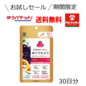 期間限定 お試し ゆうパケットで送料無料 楽美健快 めぐりさぷり サンアクティブ鉄 60粒入(30日分)×1個..
