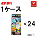 70周年創業祭 ケース販売 送料無料 24個セット(1ケース) 小林製薬 冷凍庫用 熱さまシート ストロング 大人用 12枚入×24個(1ケース) 急な発熱 冷...