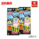 70周年創業祭 送料無料 2個セット 小林製薬 冷凍庫用 熱さまシート ストロング 大人用 12枚入×2個 急な発熱 冷却シート 強力