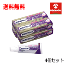 送料無料 4個セット グラクソスミスクライン 新ポリグリップ トータルプロテクションEX 40g×4個 歯のトータルケア 部分・総入れ歯安定剤