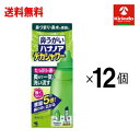 ケース販売 送料無料 12個セット 小林製薬 ハナノアデカシャワータイプ 洗浄器具+専用原液 10包×12個セット(1ケース)【一般医療機器】鼻うがい 鼻洗浄