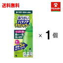\エントリーでポイントさらに+10倍!/送料無料 小林製薬 ハナノアデカシャワータイプ 洗浄器具+専用原液 10包×1個 本体容器+原液10包【一般医療機器】鼻うがい 鼻洗浄