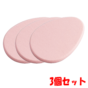 【3個セット】ちふれ化粧品 リキッドファンデーション スポンジ N×3