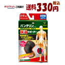 ゆうパケットで送料330円 興和 バンテリンコーワ保温サポーター ひざ専用 大きめ Lサイズ(ひざ頭周囲37~40cm) 左右共用(4)