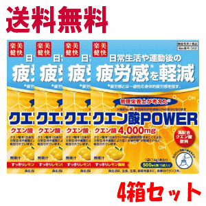 送料無料 4箱セット 楽美健快 ファイン 機能性クエン酸POWER 15包入×4個セット クエン酸パワー 機能性表示食品 軽減税率対象商品 疲労感を軽減 水分補給