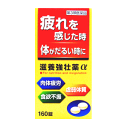 【第3類医薬品】皇漢堂製薬 滋養強壮薬α 160錠