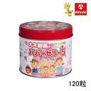 【第(2)類医薬品】大木製薬 パパーゼリー5 120粒