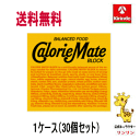 ケース販売 送料無料 30個セット 大塚製薬 カロリーメイト ブロック チーズ味 ブロック 4本入り×30個セット 軽減税率対象商品