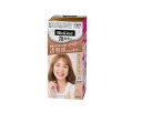 花王 ブローネ 泡カラー 0N シルキーベージュ 108ml【医薬部外品】