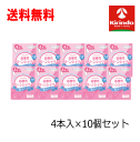 送料無料 10個セット オカモト クリーンシャワー 4本入×10個 管理医用機器 使い切りビデ デイケートゾーン 洗浄 膣内ケア 弱酸性 乳酸菌プラス 終わりかけの生理 洗浄