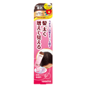 柳屋本店 レディース トップシェード スプレーウィッグ 自然になじむ褐色 100g