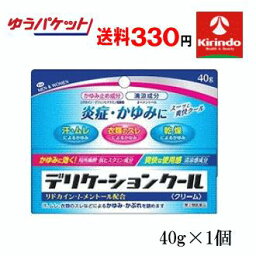 ゆうパケットで送料330円 【第2類医薬品】 デリケーションクール 40g×1個 デリケートな部分 股間や内股、脇、首などのかゆみを鎮静 ★セルフメディケーション税制対象商品