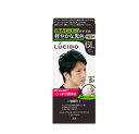 マンダム ルシード(LUCIDO) ワンプッシュケアカラー ライトブラック 1剤 50g/2剤 50g 【医薬部外品】