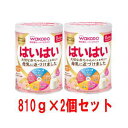 【在庫限りです】和光堂 レーベンスミルク はいはい 810g×2缶パック(おまけ付き) 粉ミルク 粉末 [0ヶ月から1歳頃] ベビーミルク DHA・アラキドン酸配合【軽減税率対象商品】