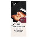 ポイント15倍 10/21(火)8:59まで 資生堂 ヘアカラー コーミングヘアカラーa 1 自然な栗色 150ml