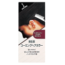 【ポイント10倍 ※5/7朝9時まで】資生堂ヘアカラー コーミングヘアカラーa 1：自然な栗色 150ml'　母の日