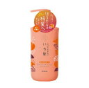 クラシエホームプロダクツ いち髪 濃密W保湿ケア シャンプー ポンプ 480mL