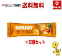 ゆうパケットで送料無料 12個セット 大塚製薬 ソイジョイ フルーツ&ベイクドチーズ 30g×12個 軽減税率対象商品